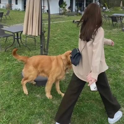 阳光小美女
